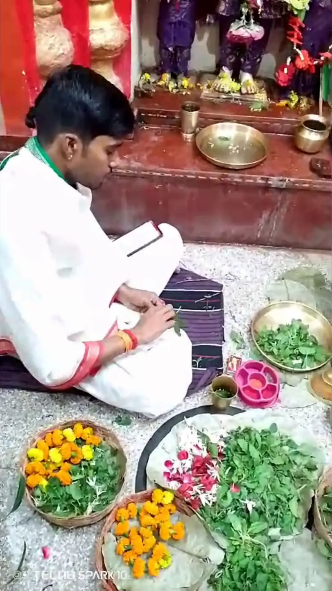 देवउठनी एकादशी पूजा