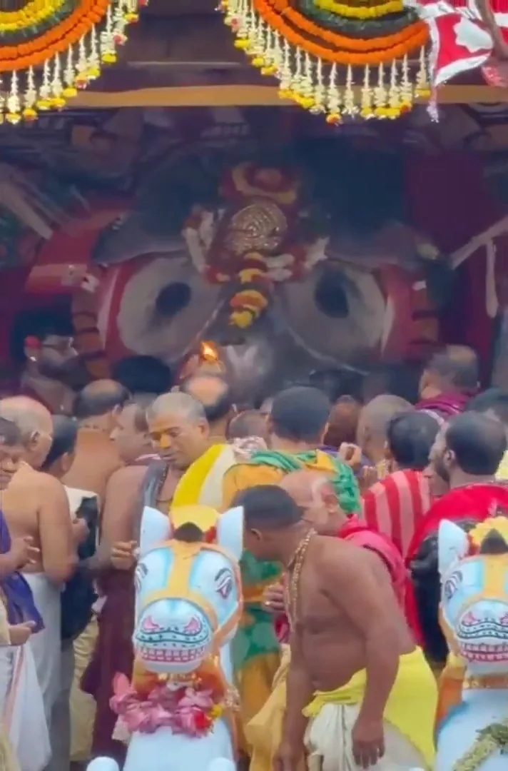 जगन्नाथ रथ यात्रा · पुरी