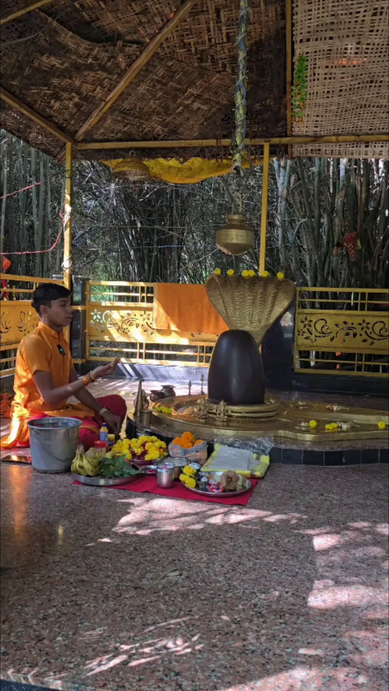 महाकाल पूजा · उज्जैन