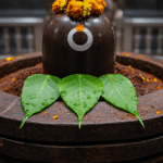 Rudraksh Bilva Arpan