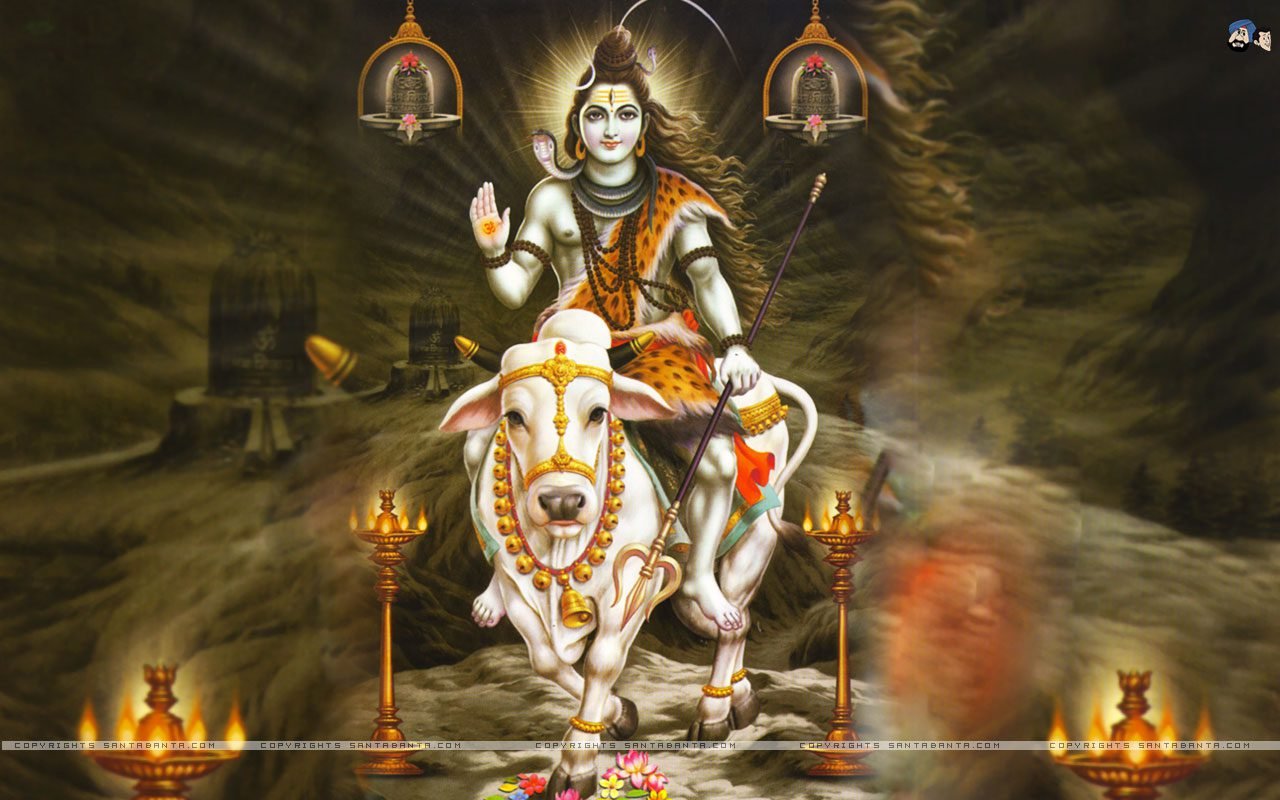 Navgraha Shani Pitru Chadhava – Live from Navgraha Mandir